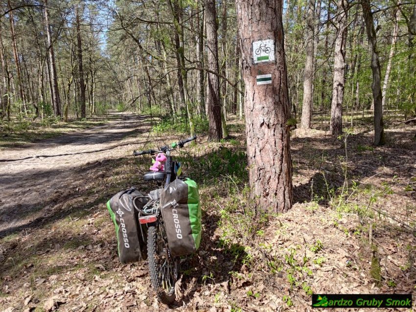 Kampinoski Szlak Rowerowy