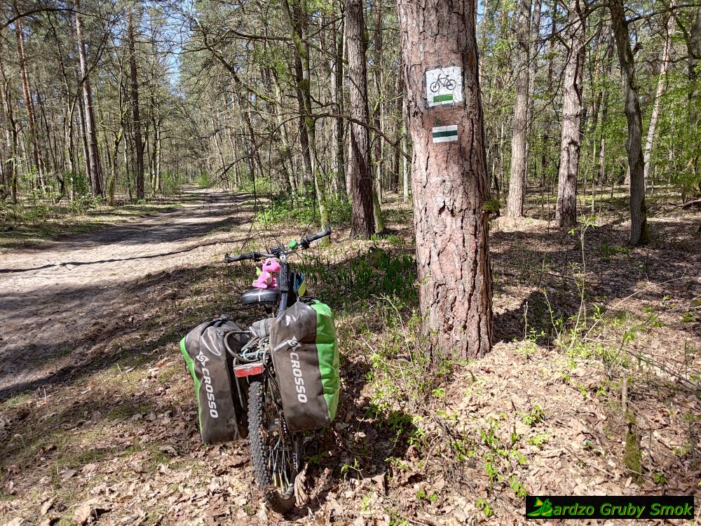 Kampinoski Szlak Rowerowy