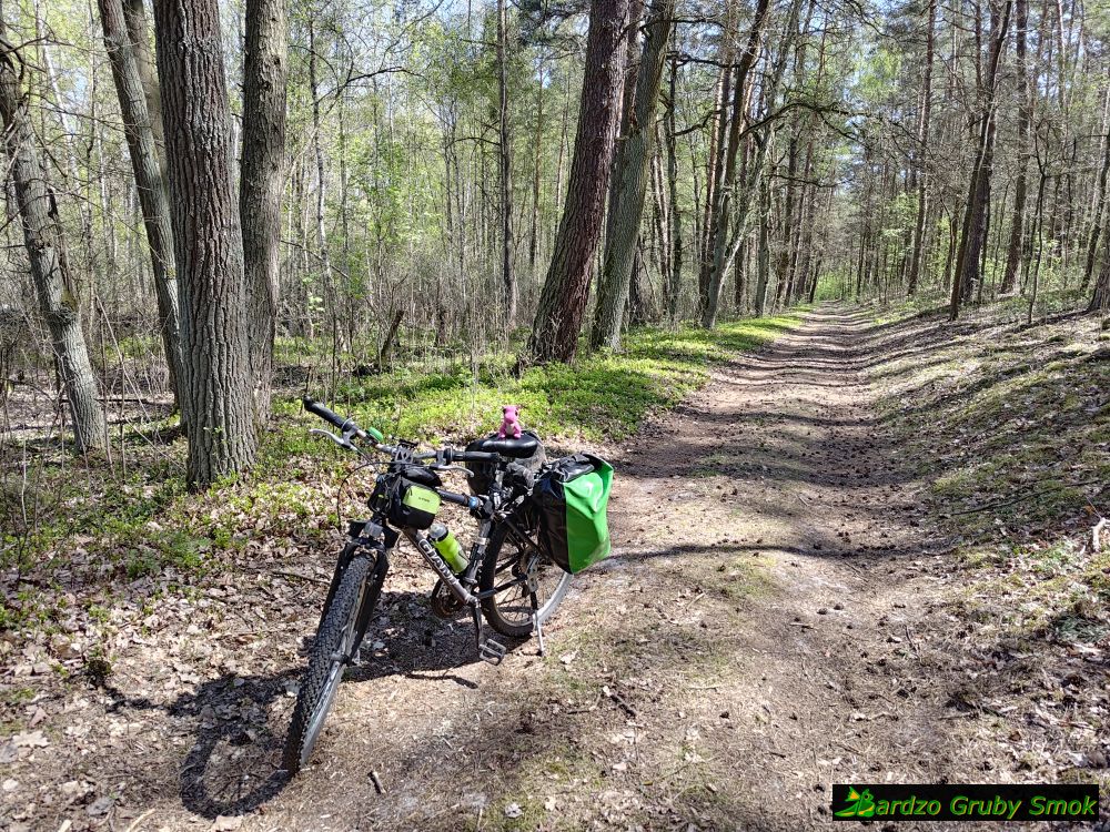 Kampinoski Szlak Rowerowy