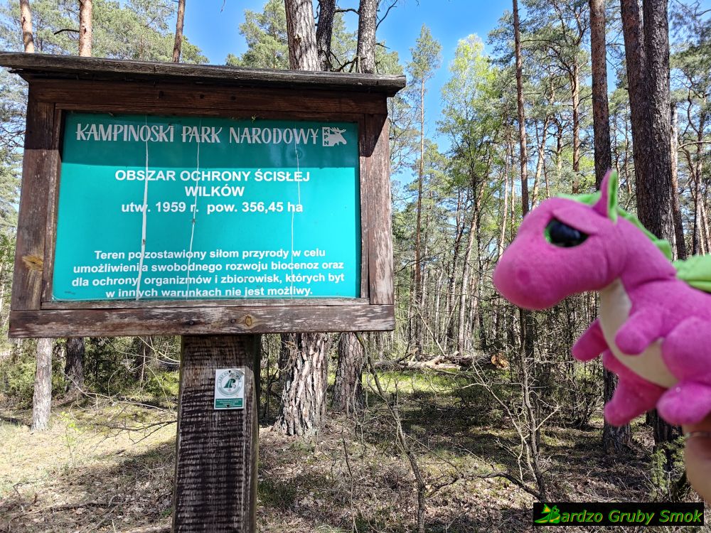 obszar ochrony ścisłej Wilków