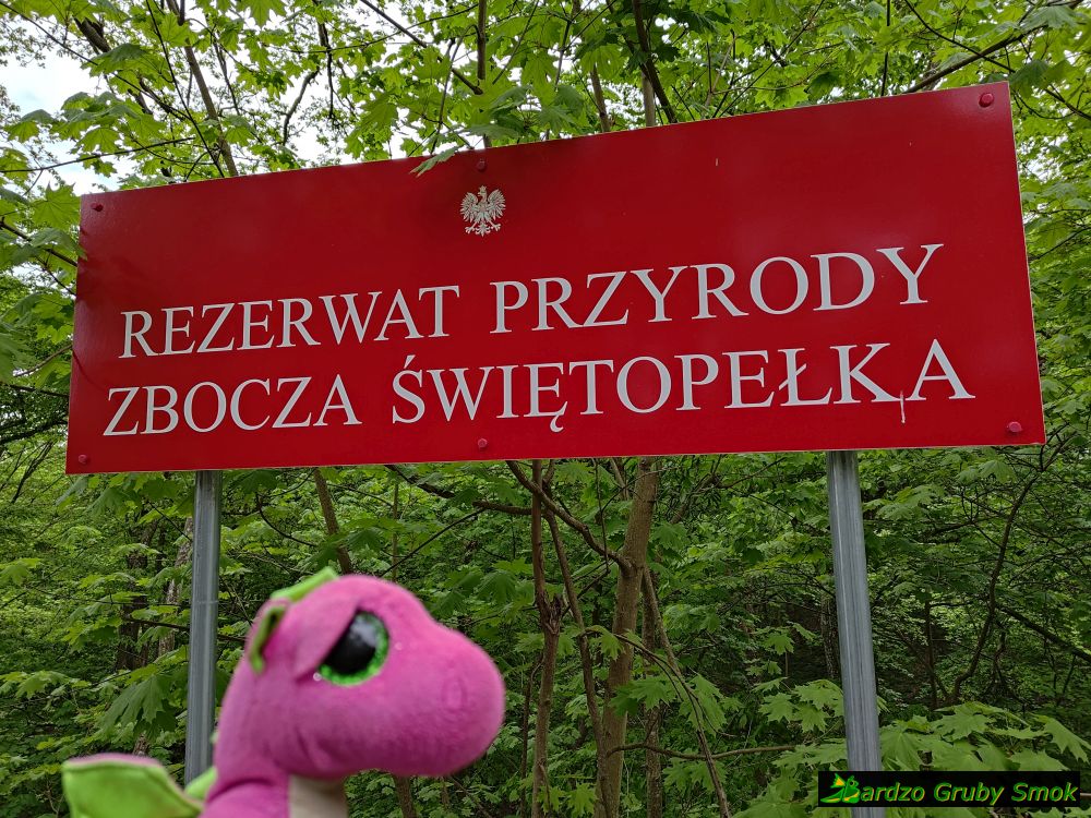 Rezerwat Przyrody Zbocza Świętopełka