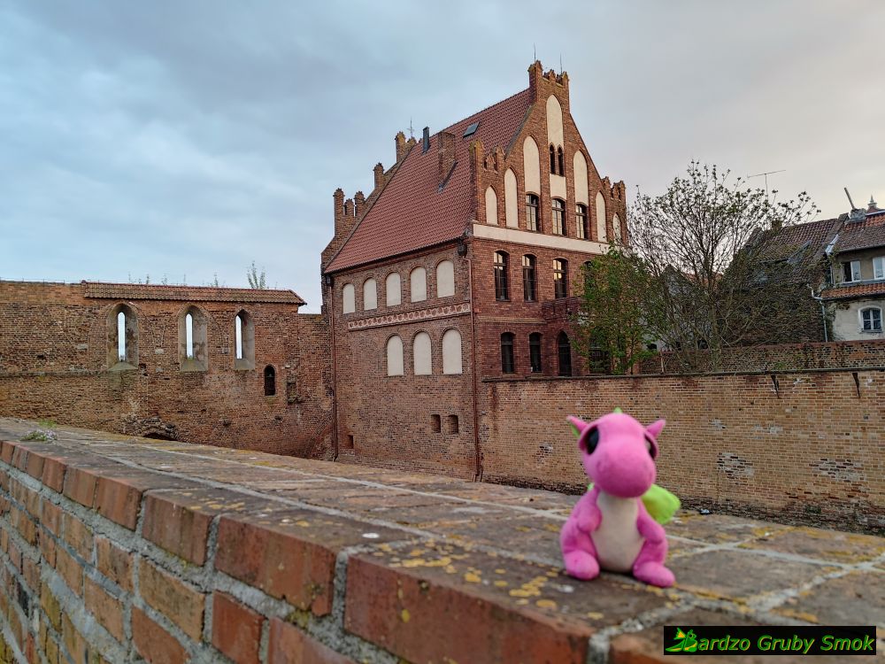 fosa zamku krzyżackiego