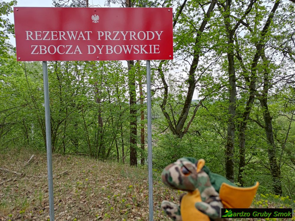 Zbocza Dybowskie