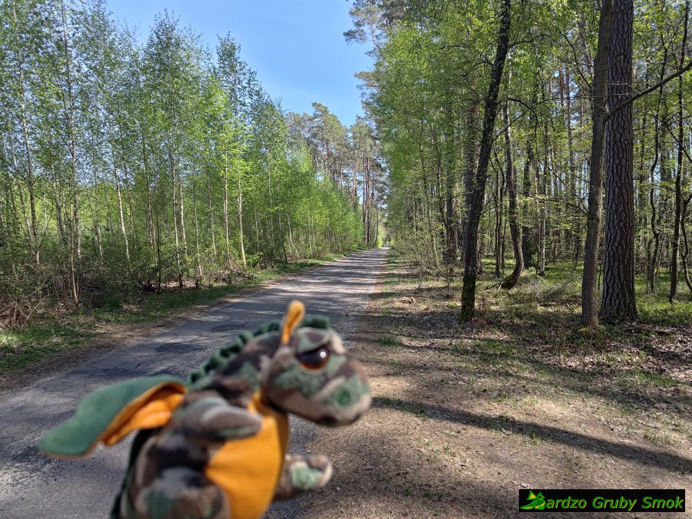 asfalt na Velo Mazovia 20