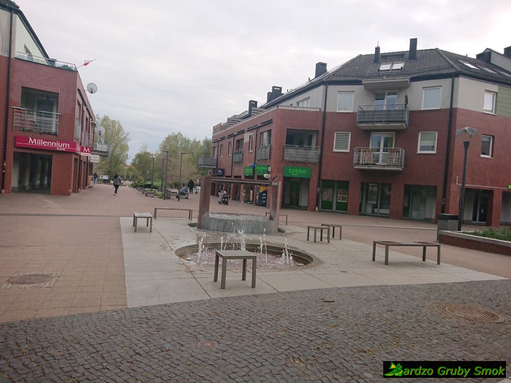 centrum Pruszcza Gdańskiego