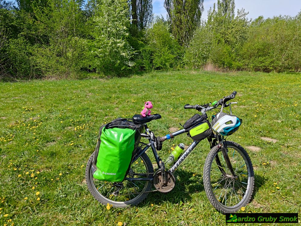 odpoczynek nad Wisłą