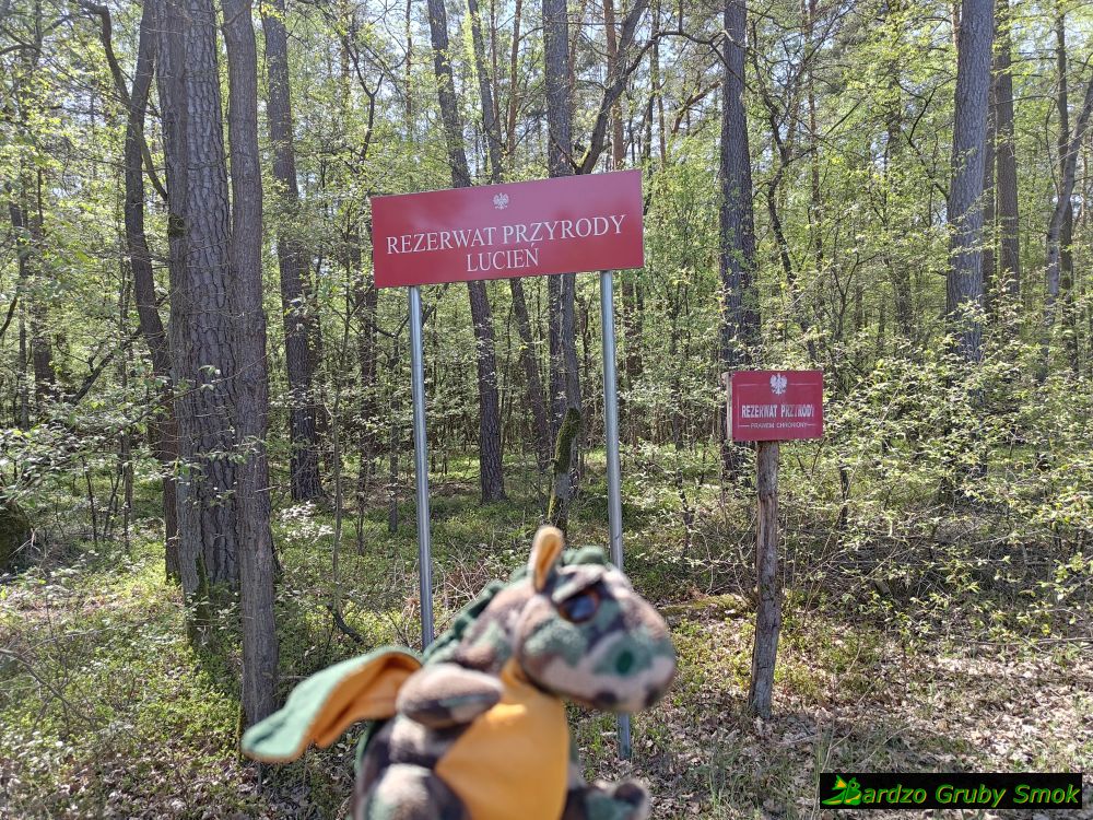 rezerwat przyrody Lucień