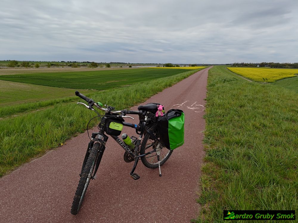 ścieżka rowerowa na WTR za Tczewem