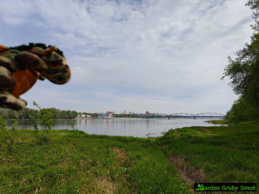 widok na Toruń