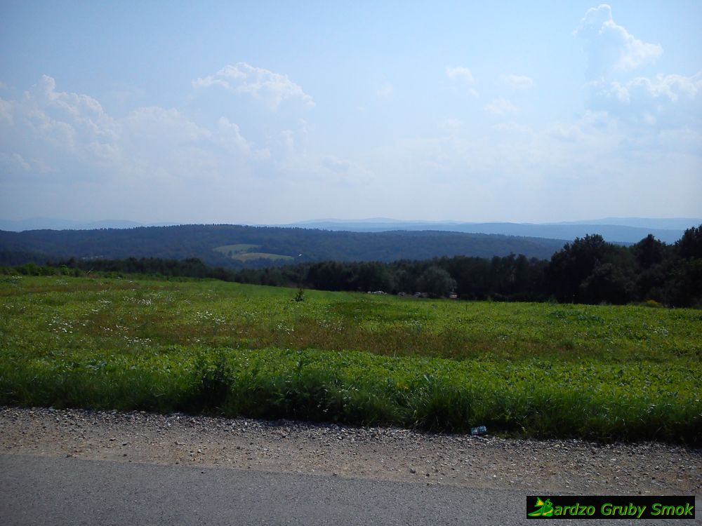 widok z Wytrzyszczku na Las Bronaczowa