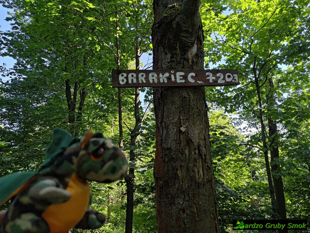 Baraniec