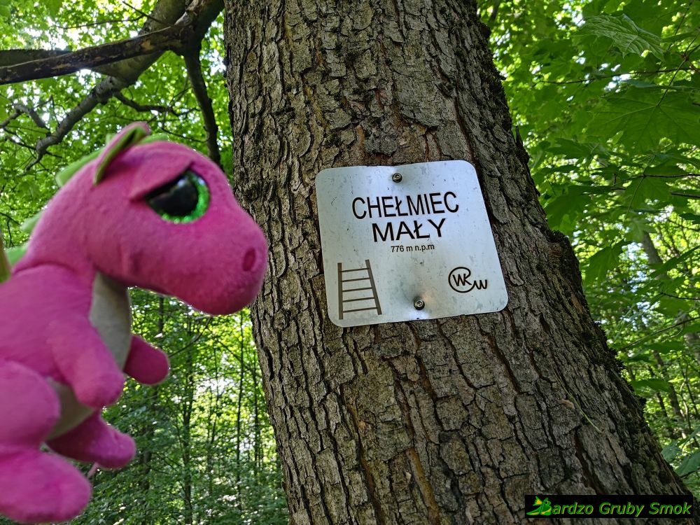 Chełmiec Mały