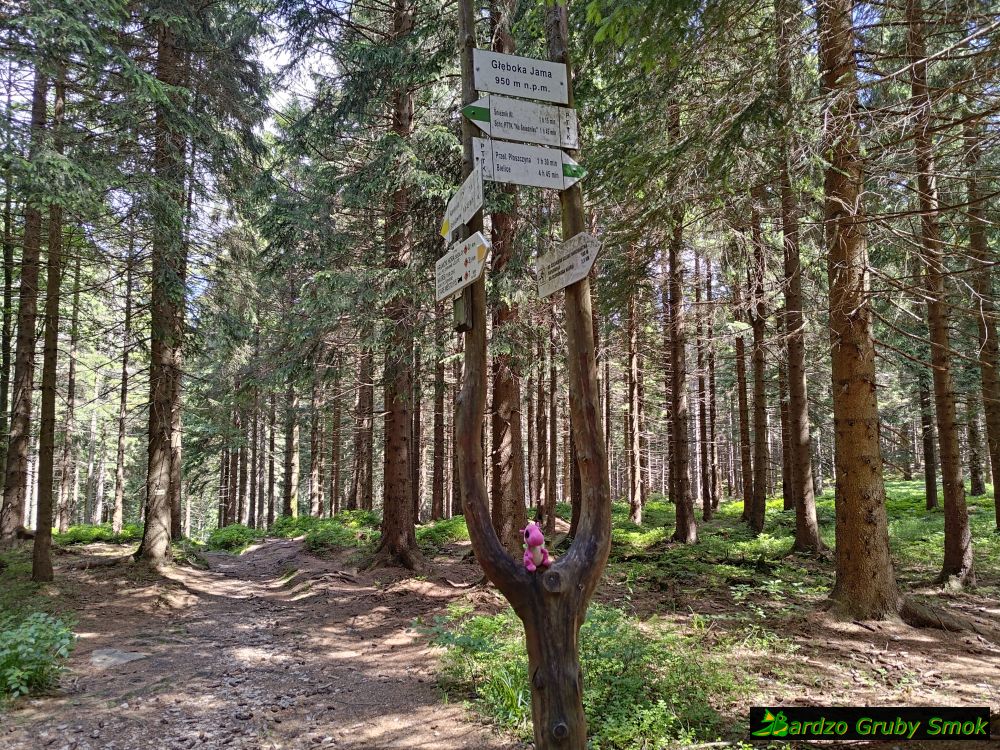 Głęboka Jama