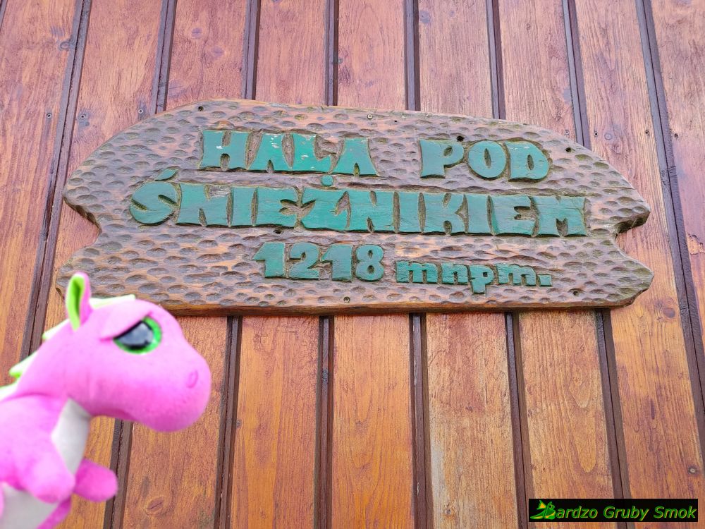 Hala pod Śnieżnikiem