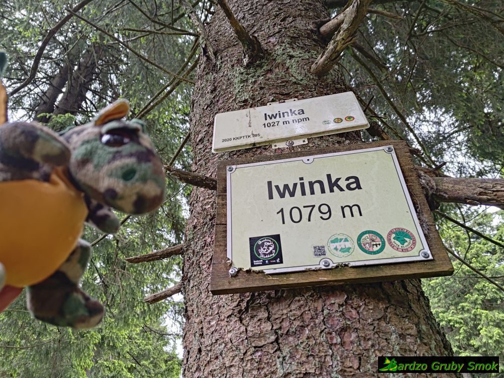 Iwinka