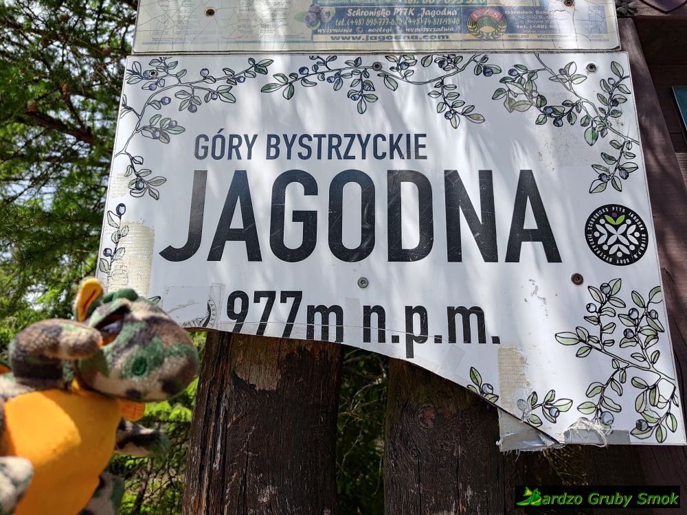 Jagodna tablica