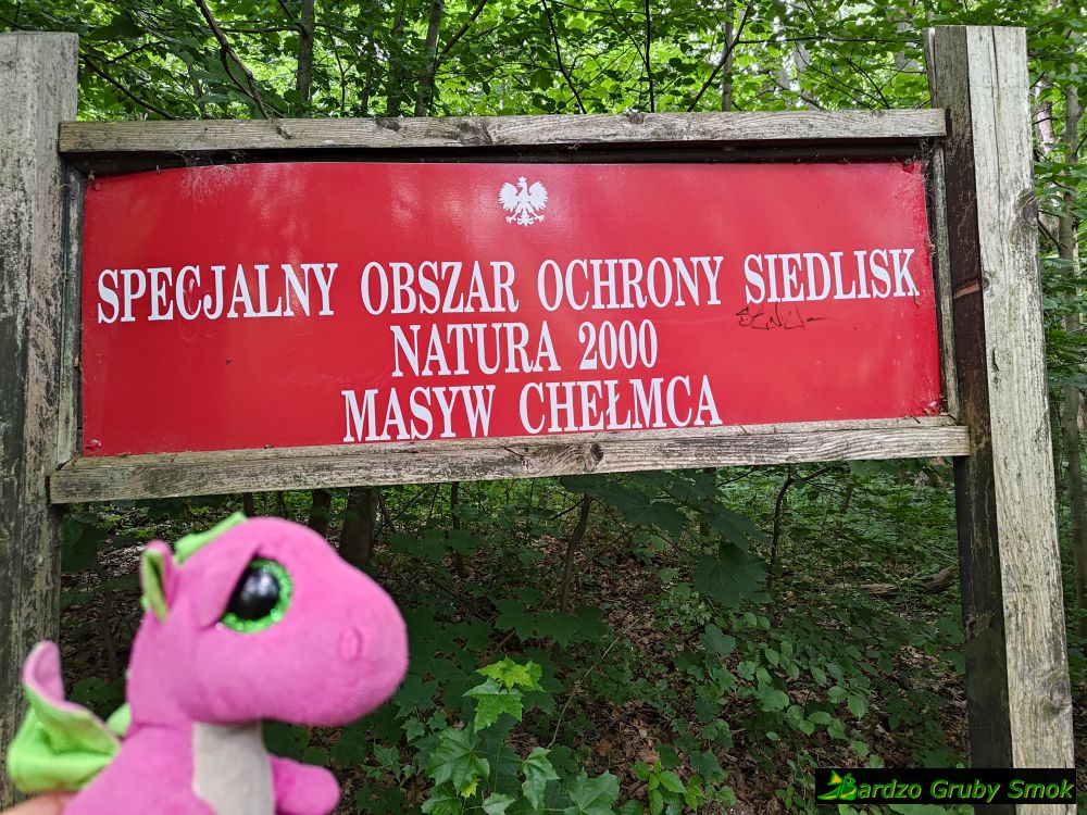 Obszar Natura 2000 Masyw Chełmca