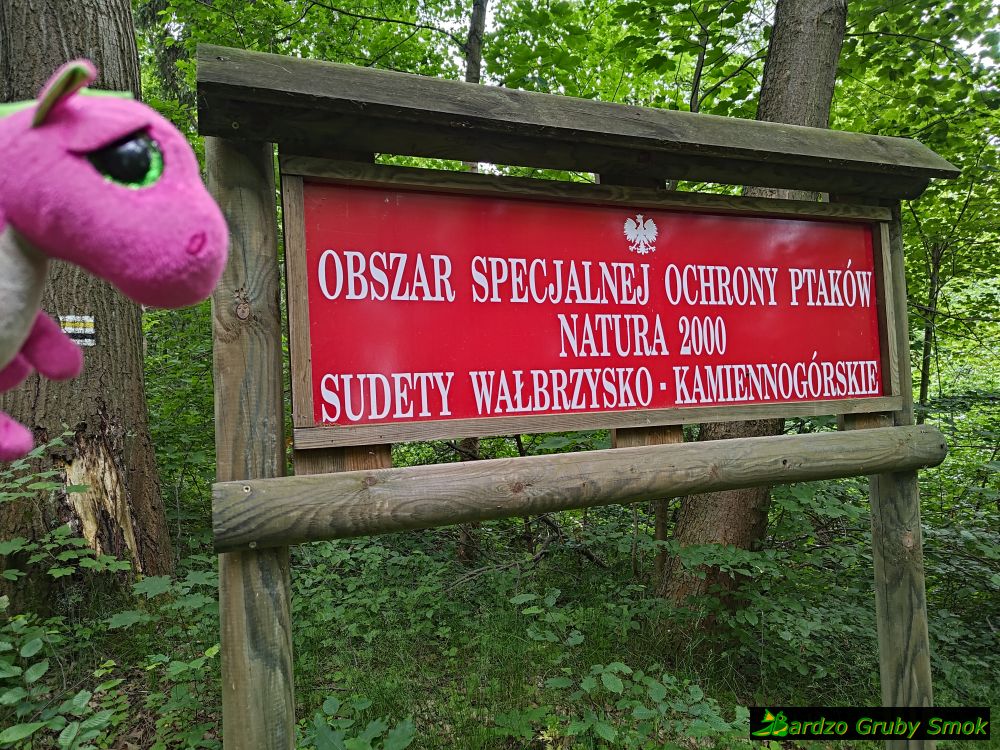 Obszar Natura 2000 Sudety Wałbrzysko-Kamiennogórskie