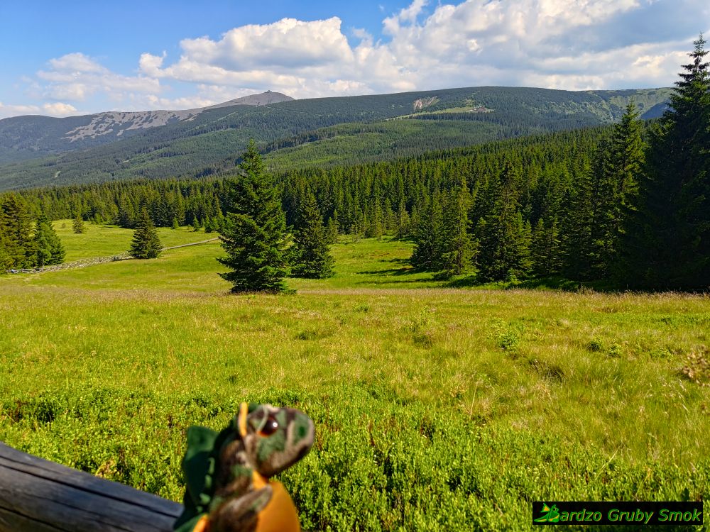 Polana w Karkonoszach
