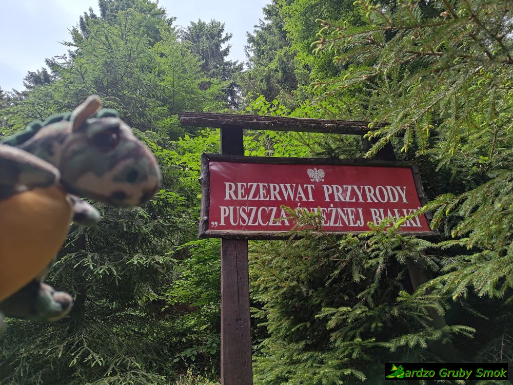 Rezerwat Przyrody Puszcza Śnieżnej Białki