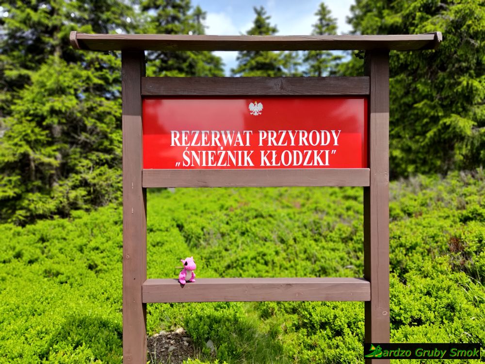 Rezerwat Przyrody Śnieżnik Kłodzki