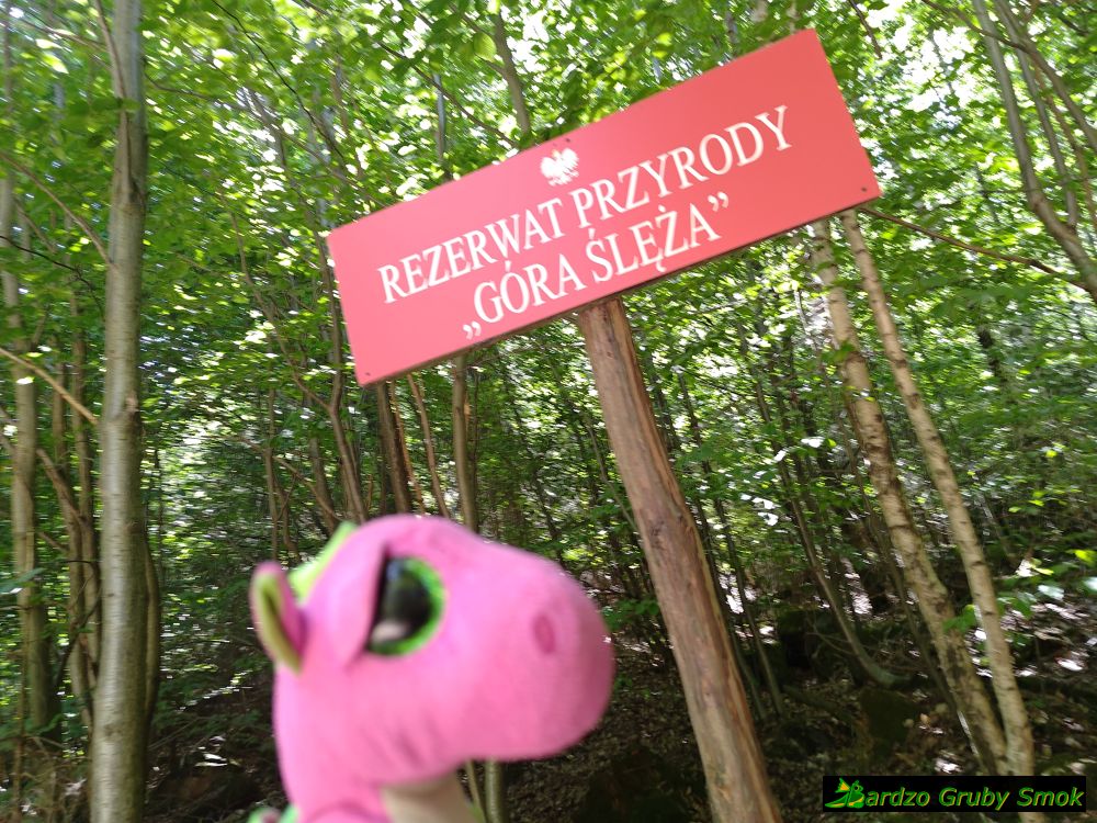 Rezerwat przyrody Góra Ślęża