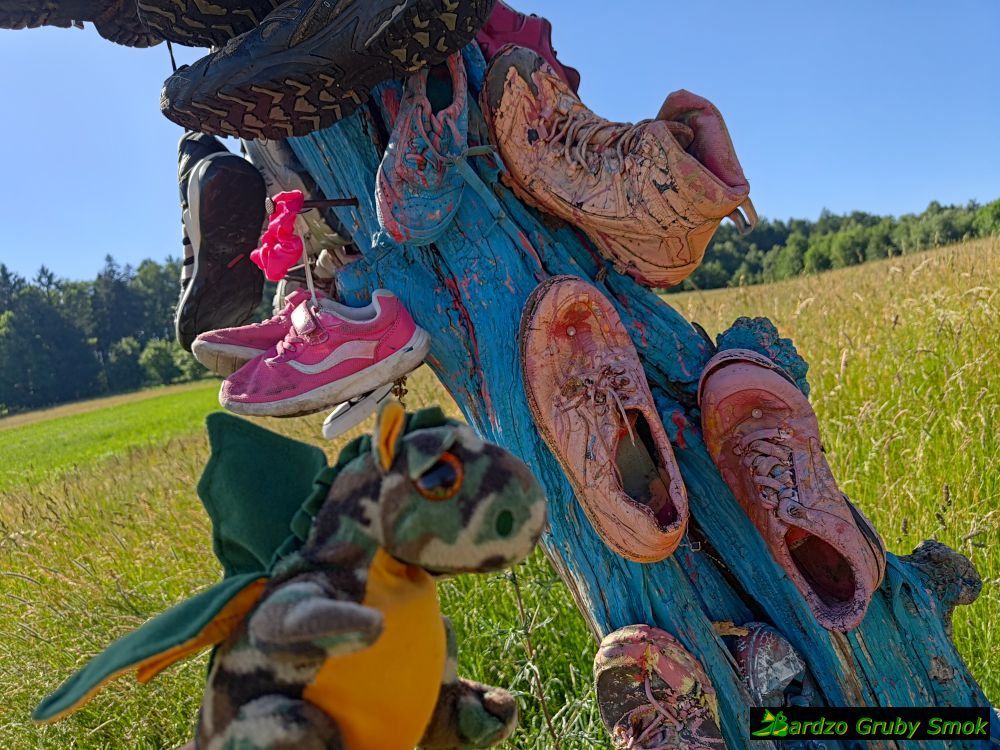 buty turystów