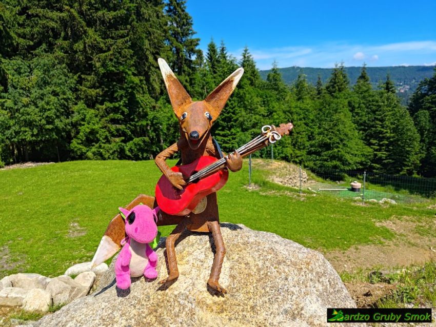 lisek z gitarą na tle Izerów