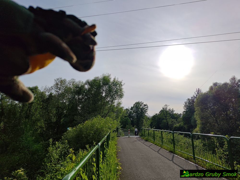 mostek na Wiśle w Harbutowicach