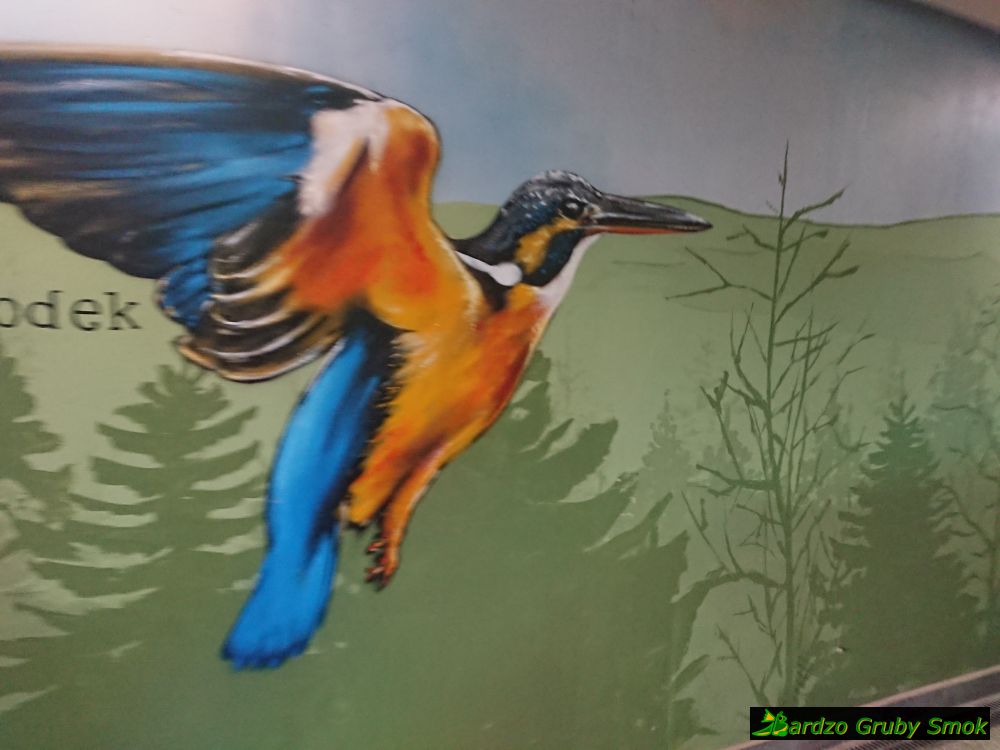 murale w przejściu pod dworcem w Zabrzegu