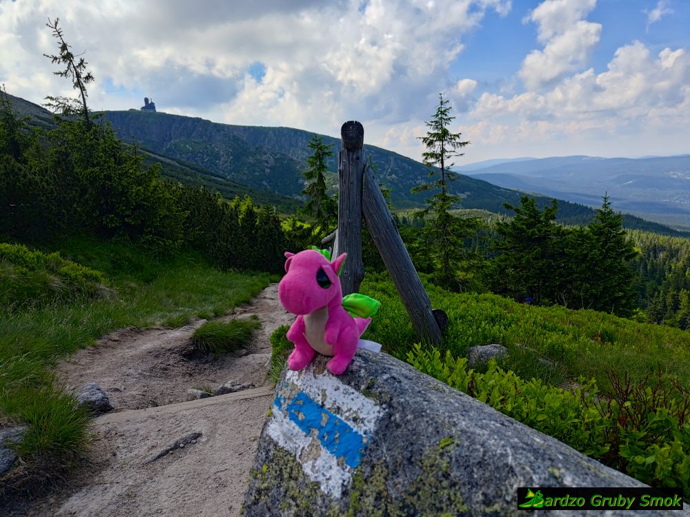 niebieski szlak pod Śmielcem