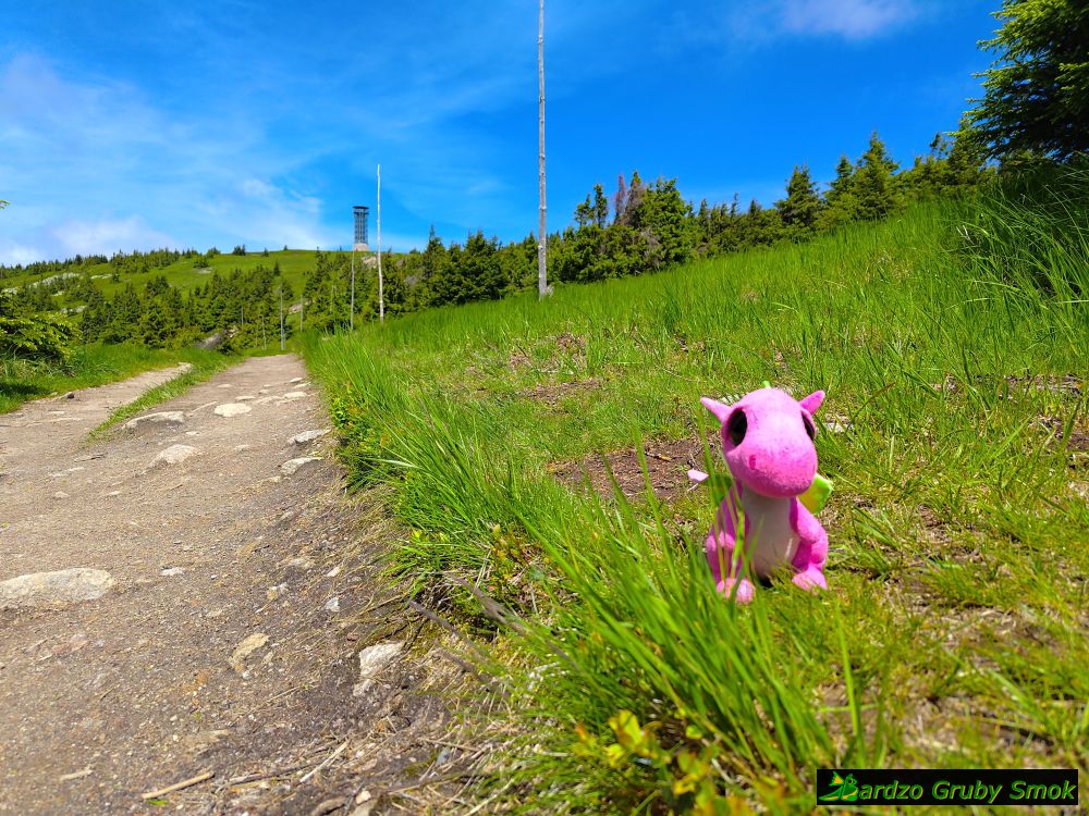 ostatnia prosta na Śnieżnik