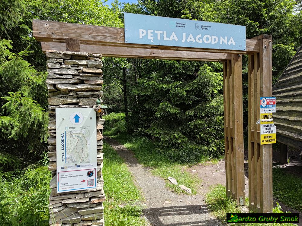 pętla Jagodna singielek