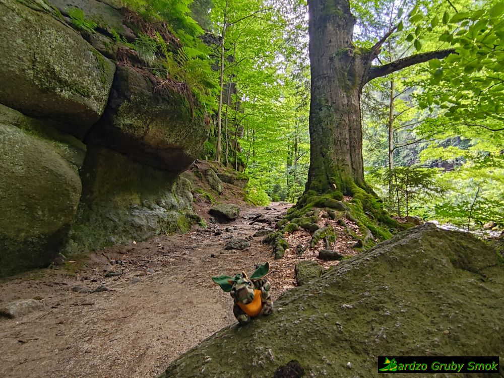 skały na zielonym szlaku
