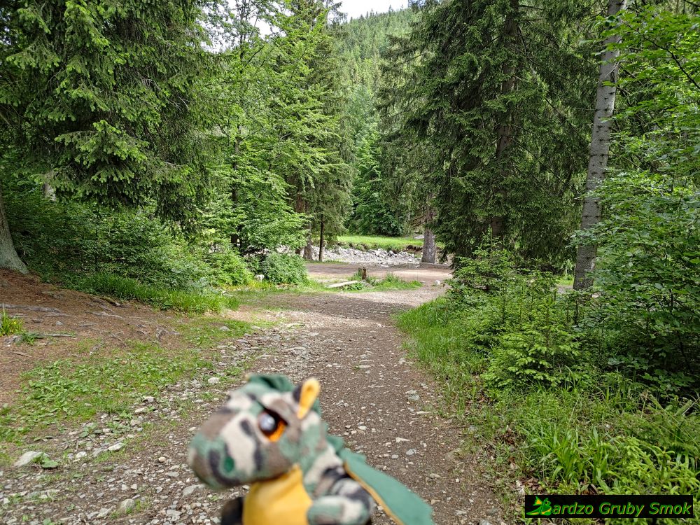 skręt na zielony szlak na Rudawiec