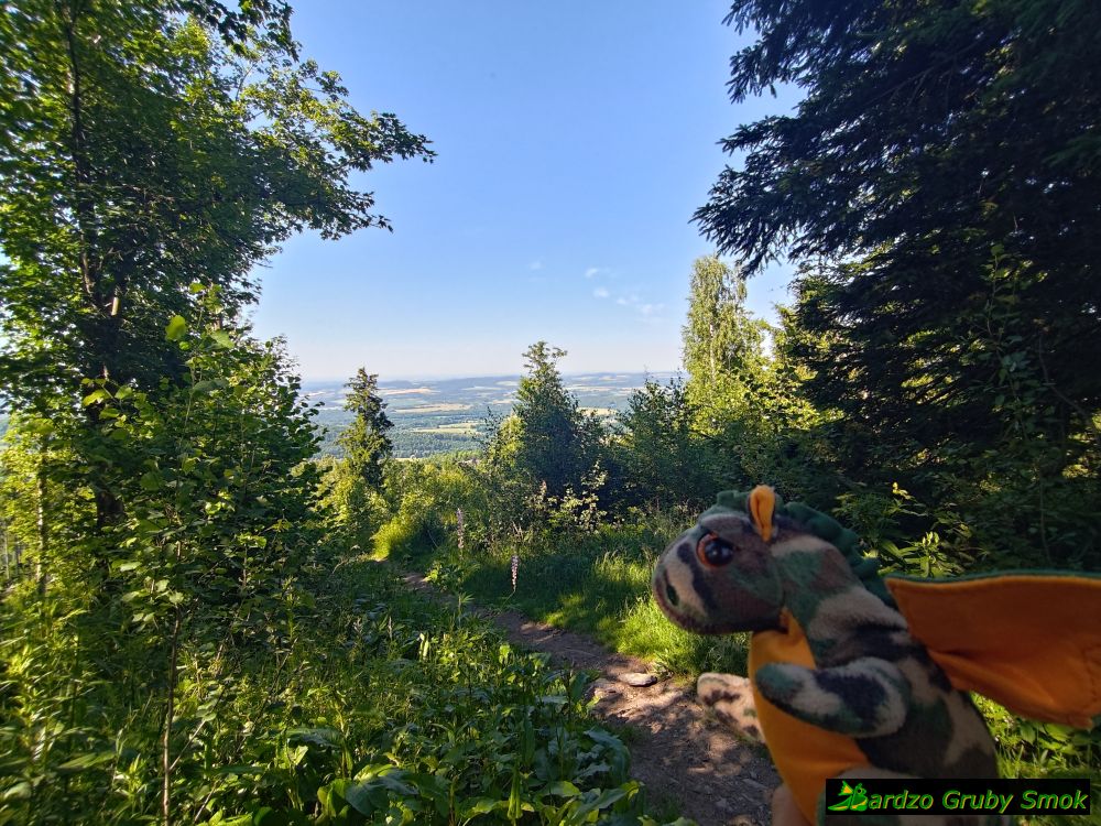 widok spod Skopca