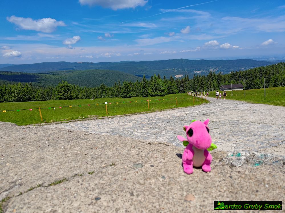widok spod schroniska na Hali Szrenickiej