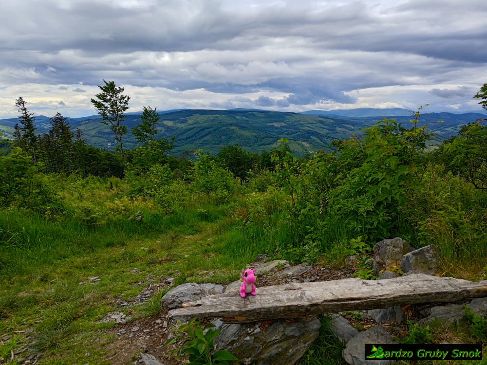 widok w stronę Czech