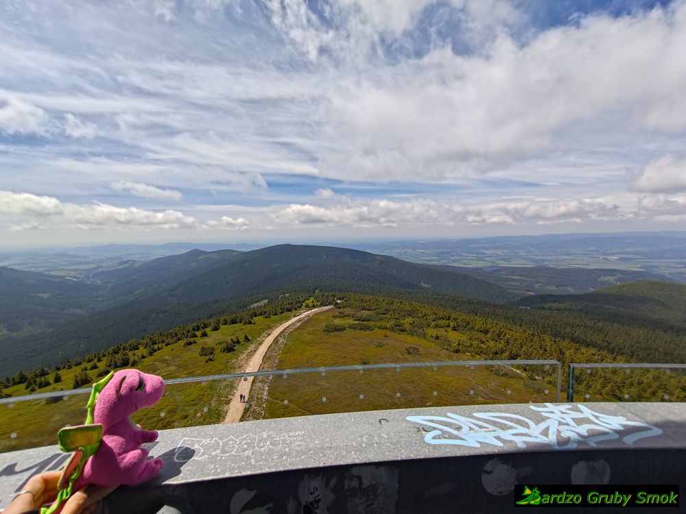 widok z wieży widokowej na zachód