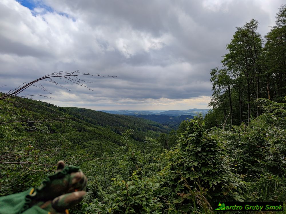 widok ze szlaku na Czechy