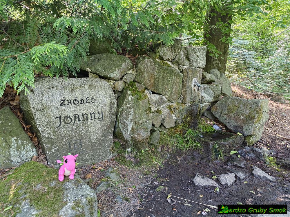 żródło na szlaku