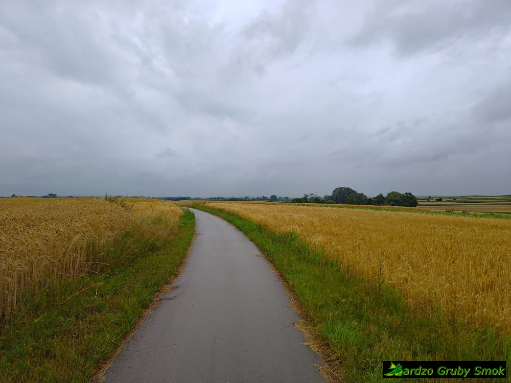 EuroVelo 11 - ścieżka Koniecmosty - Proszowice
