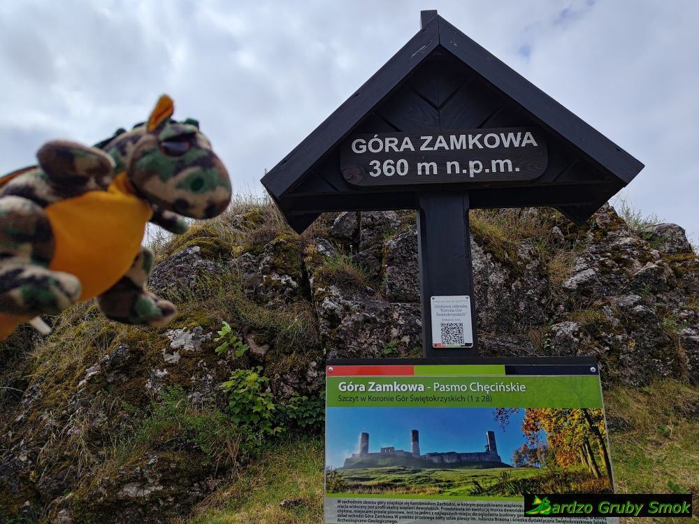 Góra Zamkowa