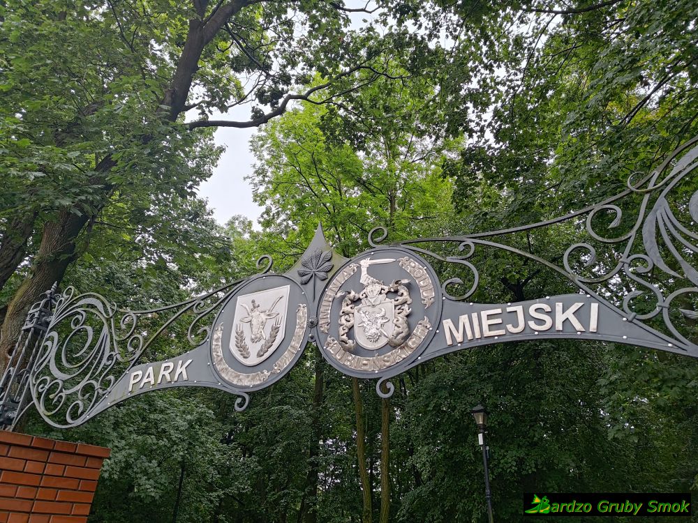 Kazimierza Wielka - park miejski