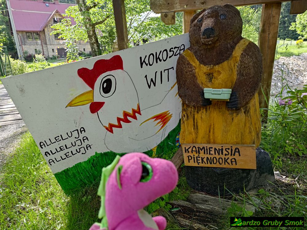 Kamienisia Pięknooka