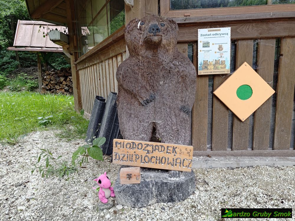Miodozjadek Dziuplochowacz