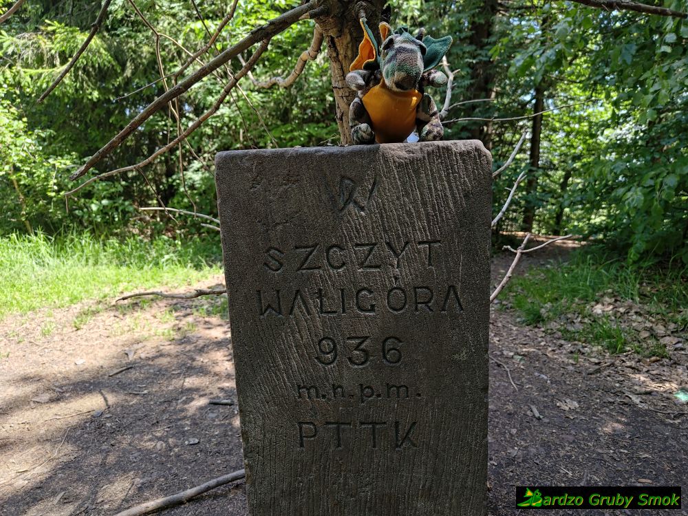 Waligóra