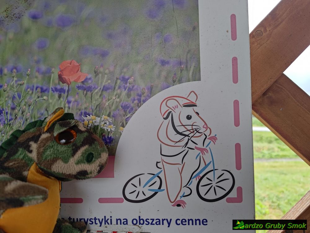 chomik na rowerze
