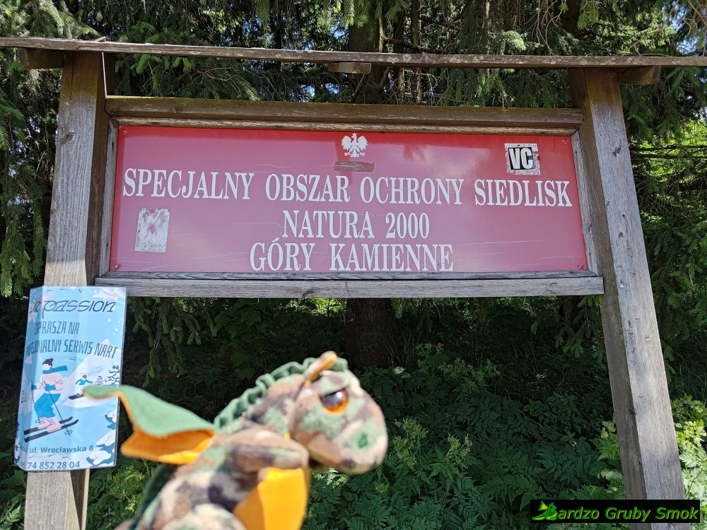 obszar Natura 2000 Góry Kamienne