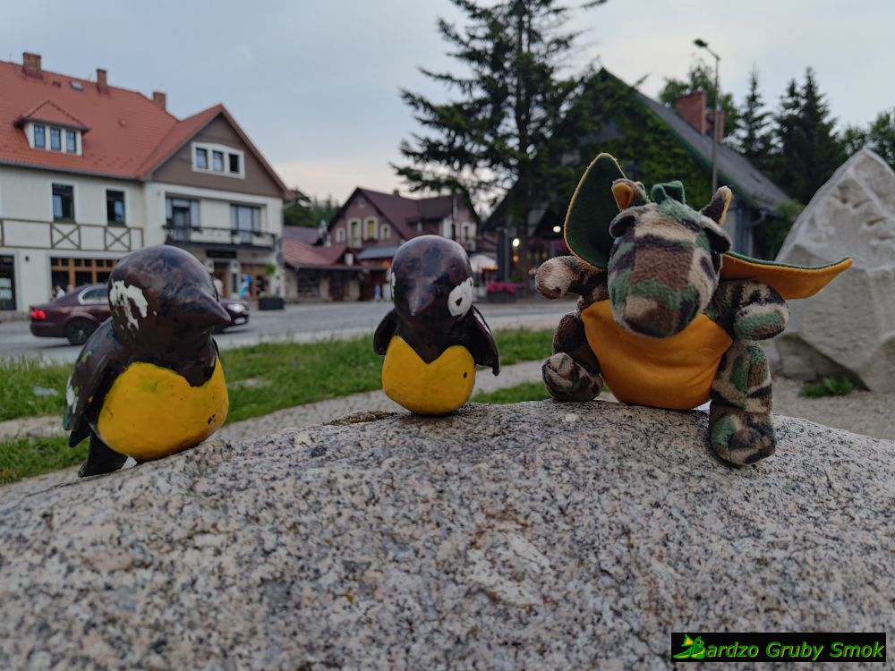ptaszki